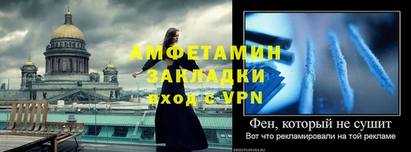стаф Аркадак