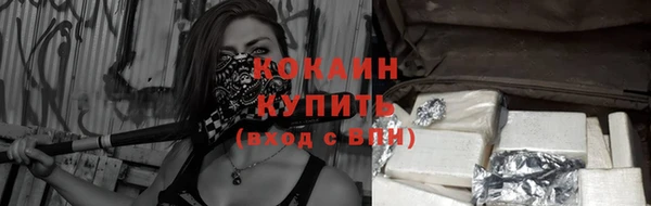 стаф Аркадак