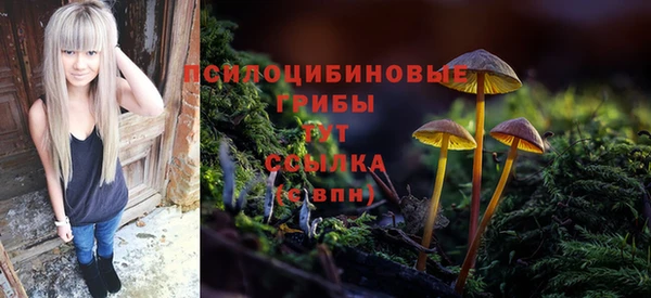 шишки Балахна