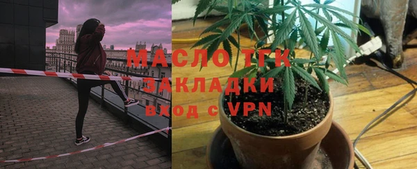 стаф Аркадак